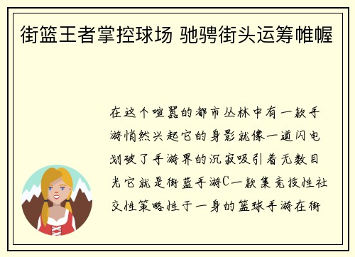 街篮王者掌控球场 驰骋街头运筹帷幄